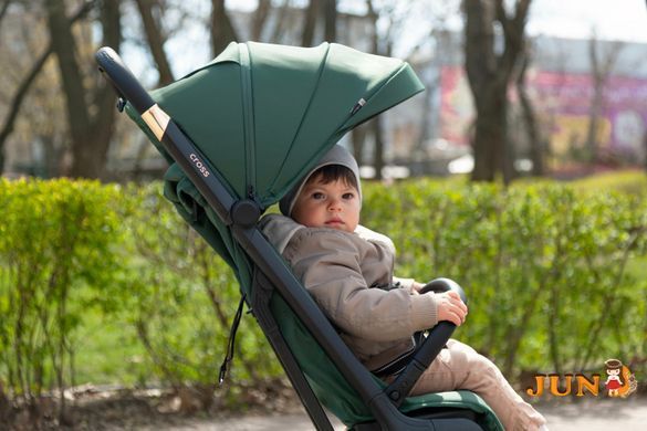 Коляска прогулочная Carrello Cross CRL-5523 ​​Parrot Green