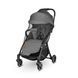Коляска Lionelo JULIE ONE STONE GREY
