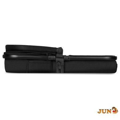 Коляска 2 в 1 Lionelo AMBER 2, Черный