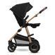 Коляска 2 в 1 Lionelo AMBER 2, Черный