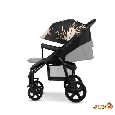 Коляска Lionelo ANNET PLUS DREAMIN