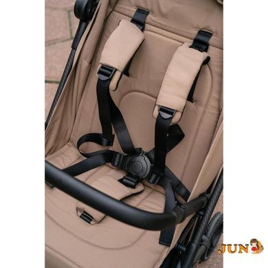 Коляска прогулочная Carrello Evo CRL-5533 Inkstone Black