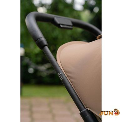 Коляска прогулочная Carrello Evo CRL-5533 Inkstone Black