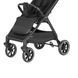 Прогулочная коляска CARRELLO Forza CRL-5535 Espresso Black
