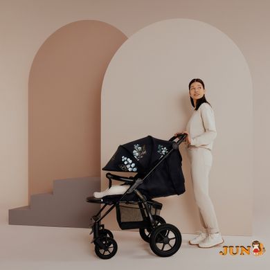 Коляска прогулянкова Lionelo ANNET TOUR BLACK CARBON
