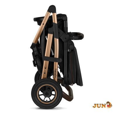 Коляска 3 в 1 Lionelo AMBER 3, Черный