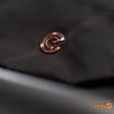 Коляска прогулочная ЭSPIRO FLAME 09 TAUPE SPLENDOR