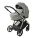 Коляска 2 в 1 Adamex Sigma Natura 7 salvia