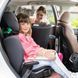 Автокресло Graco Junior Maxi i-Size, группа 2/3