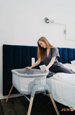Кровать-люлька ESPIRO TULLY 11 TIMBER BLACK