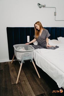Кровать-люлька ESPIRO TULLY 11 TIMBER BLACK