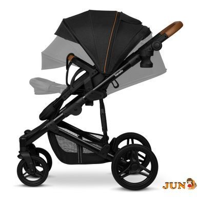 Коляска Lionelo MARI TOUR 2IN1, Черный