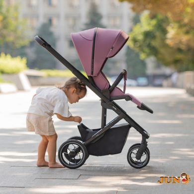 Прогулянкова коляска CARRELLO Alfa CRL-5508 BF Midnight Black
