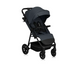 Прогулочная коляска Lionelo IVA GREY GRAPHITE