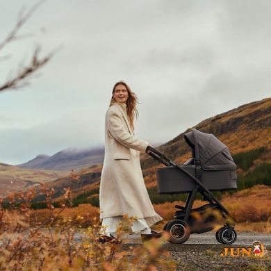 Коляска 3 в 1 Lionelo AMBER PLUS 3IN1, Бежевый
