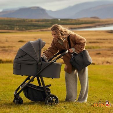 Коляска 3 в 1 Lionelo AMBER PLUS 3IN1, Бежевый