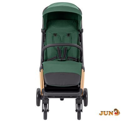 Коляска прогулочная Carrello Cross CRL-5523 ​​Parrot Green