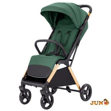 Коляска прогулочная Carrello Cross CRL-5523 ​​Parrot Green
