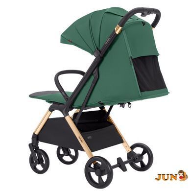 Коляска прогулочная Carrello Cross CRL-5523 ​​Parrot Green