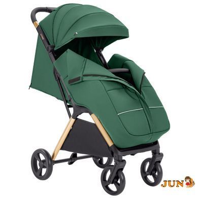 Коляска прогулочная Carrello Cross CRL-5523 ​​Parrot Green