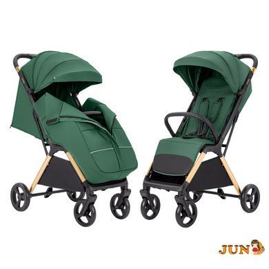 Коляска прогулочная Carrello Cross CRL-5523 ​​Parrot Green