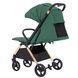 Коляска прогулочная Carrello Cross CRL-5523 ​​Parrot Green