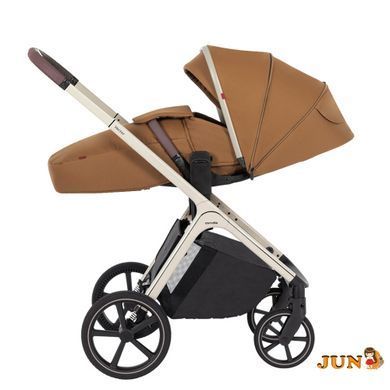 Коляска универсальная CARRELLO Vector CRL-6550 2в1 Coral Beige