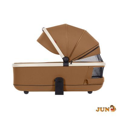 Коляска универсальная CARRELLO Vector CRL-6550 2в1 Coral Beige