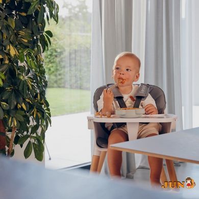 Стул для кормления Lionelo KOEN BLUE SKY