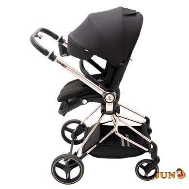 Коляска 2 в 1 Bair Moon Gold Edition MG-01 черный
