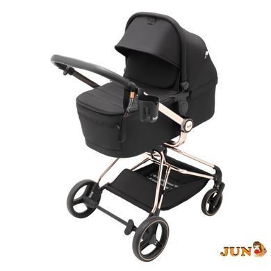 Коляска 2 в 1 Bair Moon Gold Edition MG-01 черный