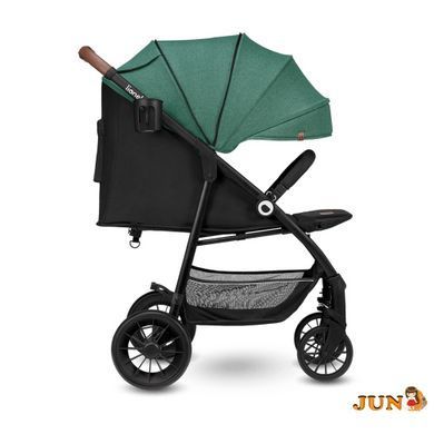 Коляска Lionelo ZOEY GREEN FOREST