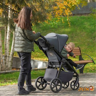 Прогулочная коляска CARRELLO Bravo SL CRL-5520 Ink Black 2024