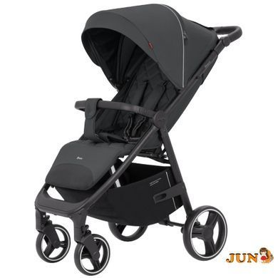 Прогулянкова коляска CARRELLO Bravo CRL-8512 Lunar Grey