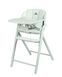 Стілець для годування CARRELLO Tenero CRL-9507 Elysium Green