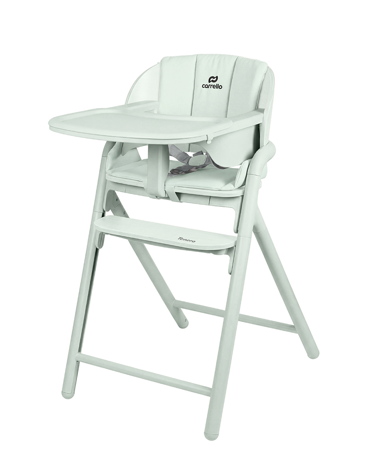 Стілець для годування CARRELLO Tenero CRL-9507 Elysium Green