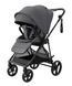 Прогулянкова коляска CARRELLO Extra CRL-6532 Chrome Grey