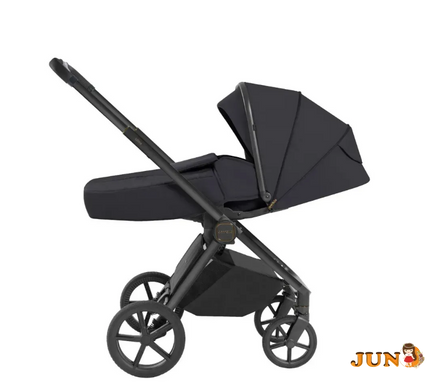 Коляска детская 2 в 1 Carrello Ultra CRL-6527 Basalt Black