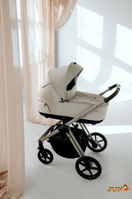 Коляска 2в1 ESPIRO MILOO 217 CASHMERE GRAY