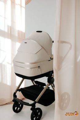 Коляска 2в1 ESPIRO MILOO 217 CASHMERE GRAY