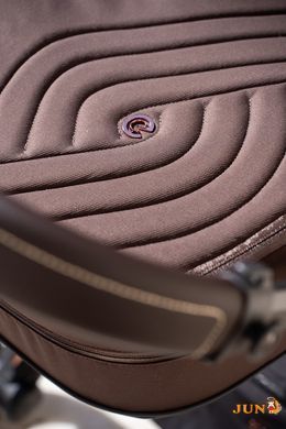 Коляска 2в1 ESPIRO MILOO 217 CASHMERE GRAY