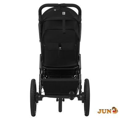 Коляска Lionelo AZURA BLACK ONYX
