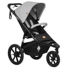 Коляска Lionelo AZURA GREY STONE