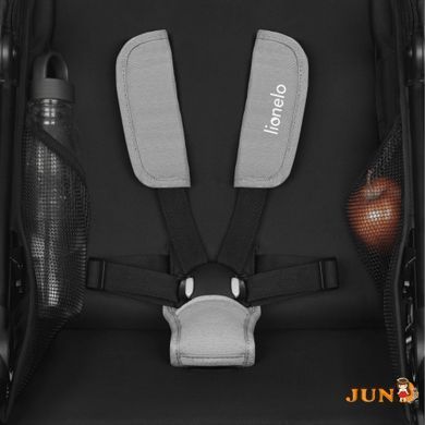Коляска Lionelo AZURA GREY STONE