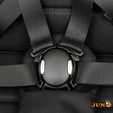 Прогулочная коляска ESPIRO ELSE 10 BLACK ALTERNATIVE