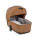 Коляска універсальна CARRELLO Alfa CRL-6522 (2in1) Honey Beige