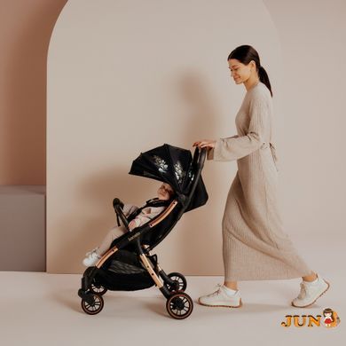 Коляска Lionelo JULIE ONE STONE GREY