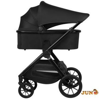 Коляска 2 в 1 Lionelo LAYLA 2IN1 , Черный
